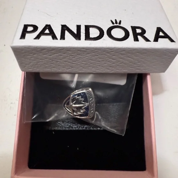 Authentic Pandora Charm Guardians of the Galaxy Rocket and Groot #792565C01 NIB - Picture 8 of 8